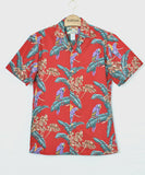 Hawaiian Shirts