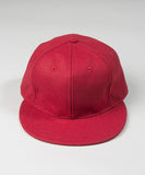 Ebbets Wool Strap Back Cap